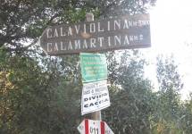 1-IMG_3297