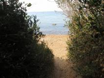 10-IMG_3338