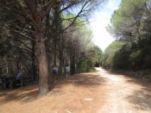 4-IMG_3356