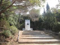 5-IMG_3347
