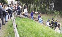 IMG_20170507_120136