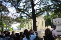 3-IMG_0464