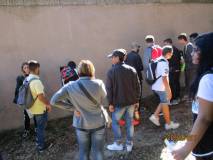 10-IMG_0523