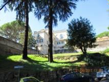 10--IMG_0592