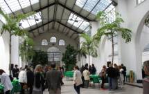 2-IMG_0026