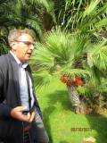 25-IMG_0039