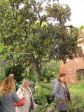 26-IMG_0033