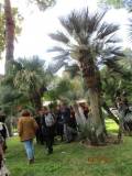 28-IMG_0042