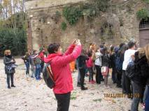 25-IMG_0573
