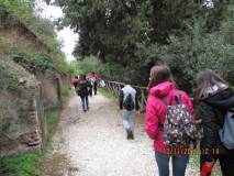 19-IMG_0548