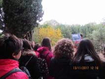 20-IMG_0550