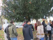 33-IMG_0887