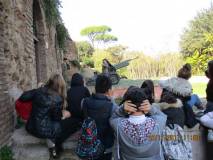 35-IMG_0884
