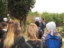 Andrea, assai diligente, lavora sempre -bravo- e spiega l’attacco “a tenaglia” dei francesi dal settimo bastione