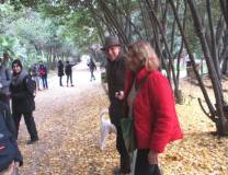 A Villa Sciarra una signora familiarizza con gli studenti e spiega il Ginkgo biloba