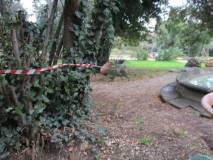 3-IMG_1928_r