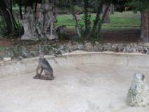 Il cane del gruppo scultoreo è stato divelto e buttato nella fontana