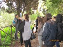 11-IMG_2609_r