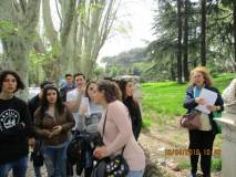 17-IMG_2743_r