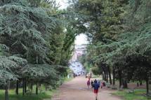 12-IMG_7487_r