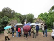 3- IMG_2946_r