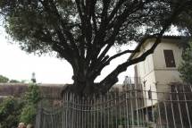 35-IMG_7631_r