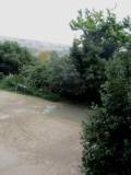 18-IMG_4685_r