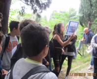 17-IMG_5046_r