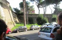 Ma quest’albero sembra davvero rispettare le mura dell’ottavo bastione, anche a rischio del suo svilupparsi …