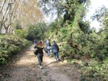 Ormai si deve correre per arrivare in tempo alla piazzola dove spara il cannone!