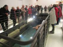 43-IMG_5714_r
