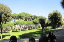 Luciani mostra a confronto l’immagine di Raffet , già data loro come “ingresso dei francesi nella Villa “