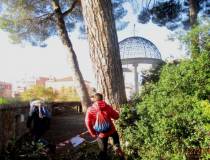 Ma al sesto bastione l’accesso è impedito , stanno pulendo il gazebo; bravi!