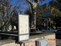 33-IMG_6499_r