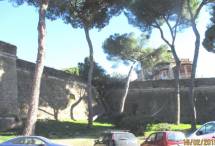All'ottavo bastione un albero... romantico; devia la sua crescita per non rovinare le mura!