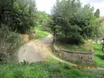 1-IMG_7238_r