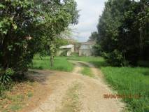 2-IMG_7239_r