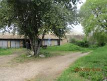 3-IMG_7242_r