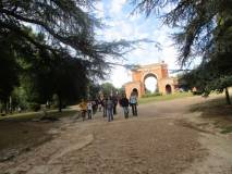 11-IMG_0801_r