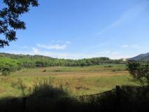 b1IMG_0861_r