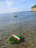 b2-IMG_0902_r