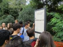1-IMG_0966_r