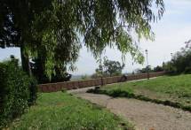 3-IMG_1342_r