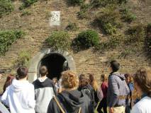 Il gruppo arriva all'ingresso di Villa Sciarra: bello da vedersi lo stemma dei Barberini per Urbano VIII