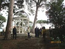 11-IMG_1682