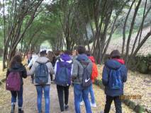 Anche la terza D entra nella Villa