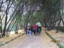 Enrico Luciani saluta: i gruppi proseguono la visita tra le foglie gialle del Ginkgo biloba
