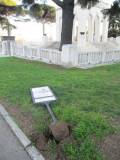 1-IMG_2345_r