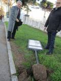 3-IMG_2349_r