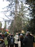 13-IMG_2400_r